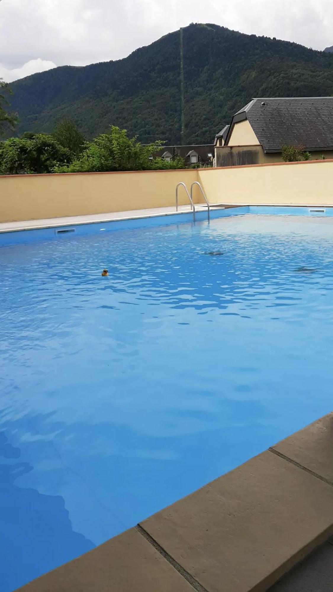 Appart T 3 Bagneres-De-Luchon Vue Montagne - Piscine Mi Juin Exterior photo